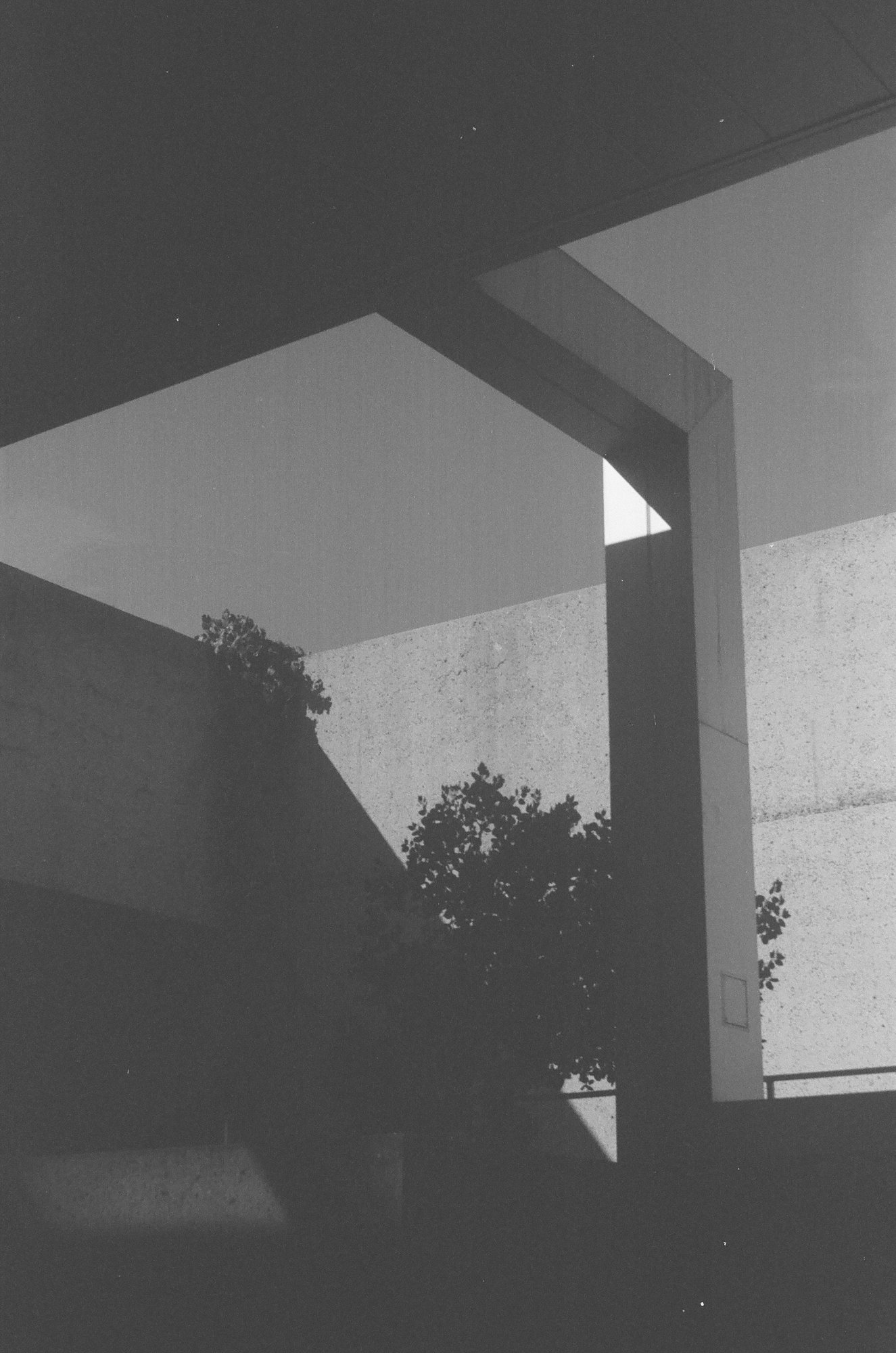 Oakland Museum of the Arts